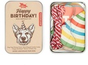 Dog Birthday Kit