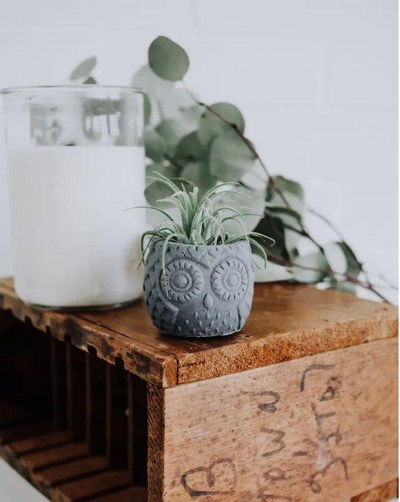 Concrete Owl Planter