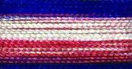 Floriani Embroidery Thread - Old Glory V30