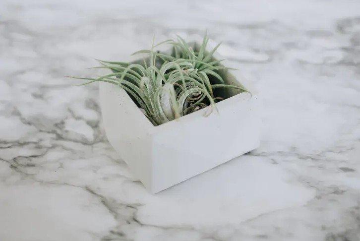 Square Geometric Concrete Planter