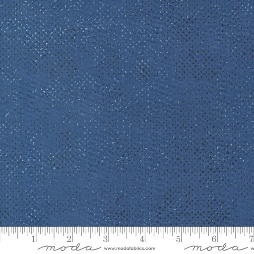 Bluish Spotted Blueprint 1660 209