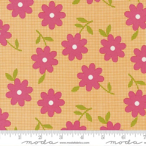 Flower Power Clementine 33714 14