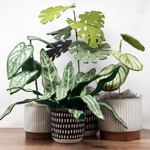 [PK50015] Freestanding Houseplants