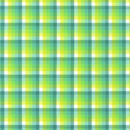 Plaid Sage